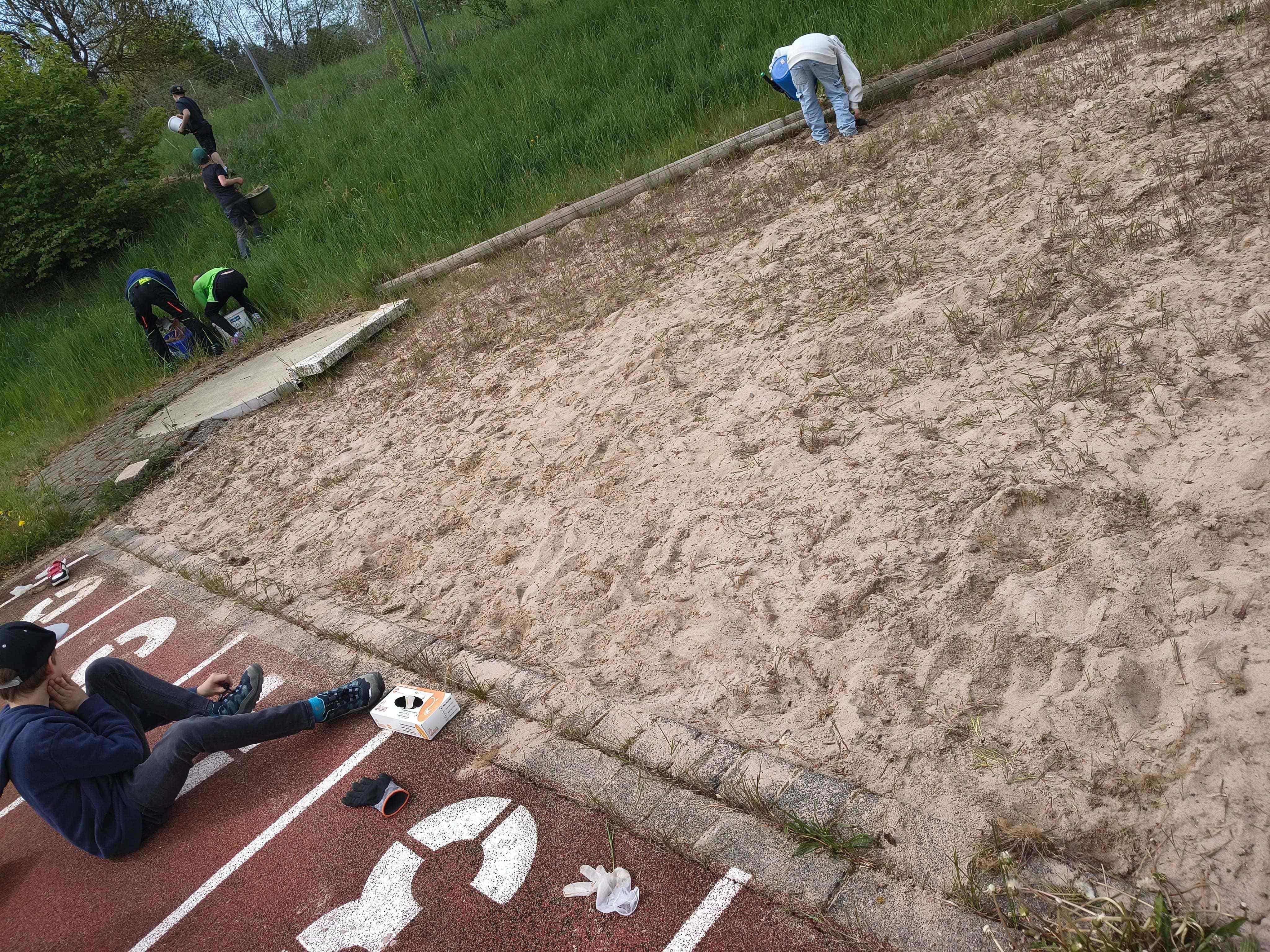 Unkraut2